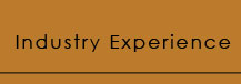 industry experience